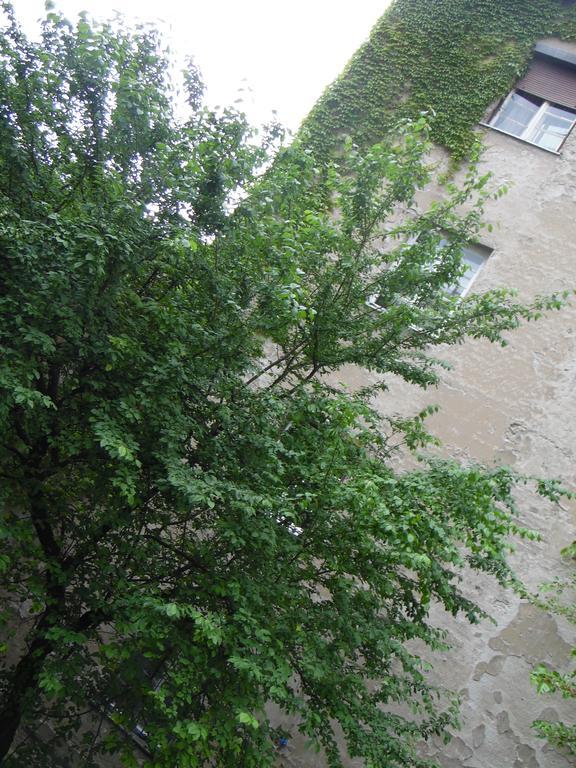 Apartment Vracar Белград Экстерьер фото